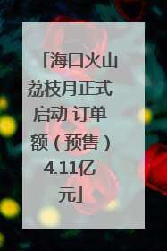 海口火山荔枝月正式启动 订单额（预售）4.11亿元