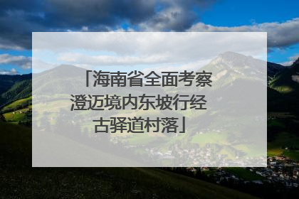海南省全面考察澄迈境内东坡行经古驿道村落