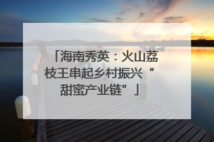 海南秀英：火山荔枝王串起乡村振兴“甜蜜产业链”