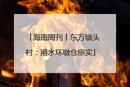 海南周刊丨东方墩头村：港水环墩仓廪实