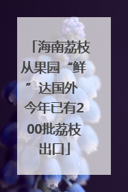 海南荔枝从果园“鲜”达国外 今年已有200批荔枝出口