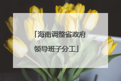 海南调整省政府领导班子分工