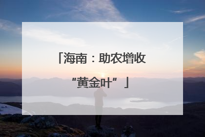 海南：助农增收 “黄金叶”
