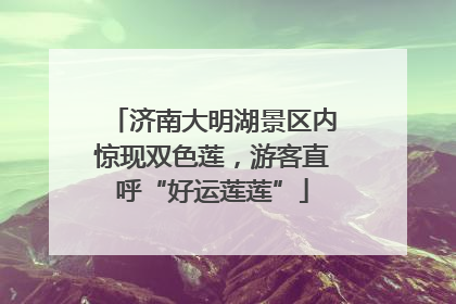 济南大明湖景区内惊现双色莲，游客直呼“好运莲莲”