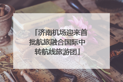 济南机场迎来首批航旅融合国际中转航线旅游团