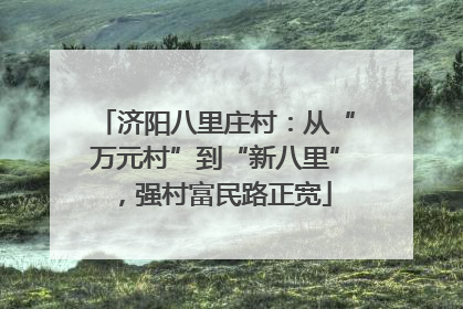 济阳八里庄村：从“万元村”到“新八里”，强村富民路正宽