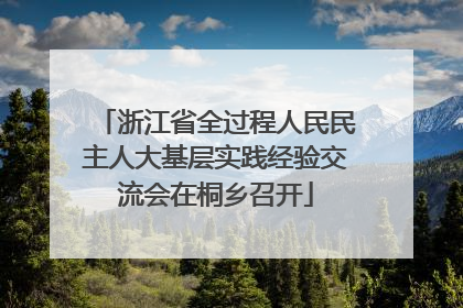 浙江省全过程人民民主人大基层实践经验交流会在桐乡召开