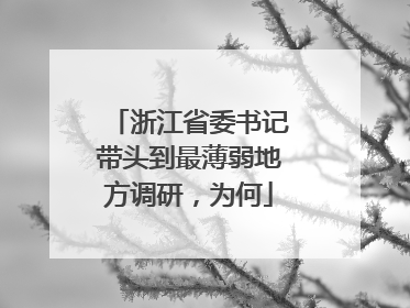 浙江省委书记带头到最薄弱地方调研，为何