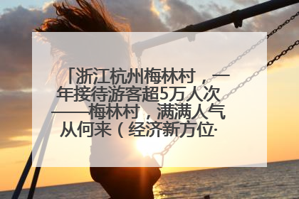浙江杭州梅林村，一年接待游客超5万人次——梅林村，满满人气从何来（经济新方位·农村消费观察）