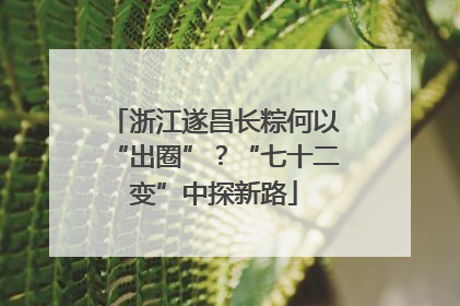 浙江遂昌长粽何以“出圈”？“七十二变”中探新路