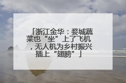 浙江金华：婺城蔬菜也“坐”上了飞机，无人机为乡村振兴插上“翅膀”