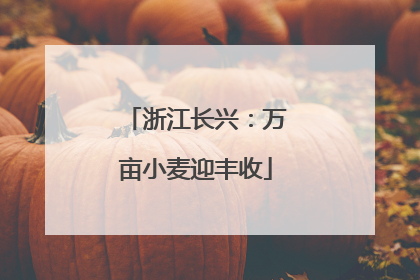 浙江长兴：万亩小麦迎丰收
