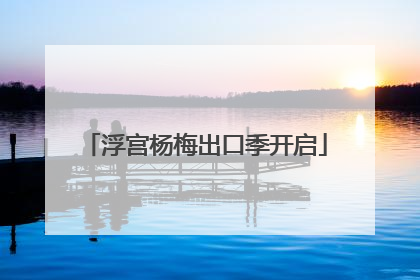 浮宫杨梅出口季开启