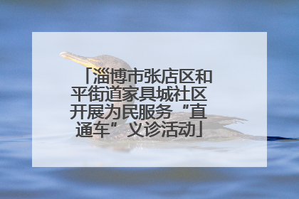 淄博市张店区和平街道家具城社区开展为民服务“直通车”义诊活动
