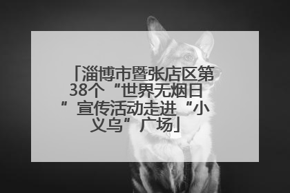 淄博市暨张店区第38个“世界无烟日”宣传活动走进“小义乌”广场