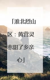 淮北烈山区：黄营灵枣甜了乡亲心