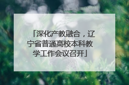 深化产教融合，辽宁省普通高校本科教学工作会议召开