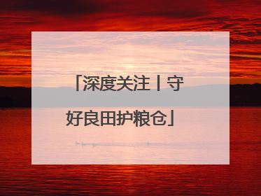 深度关注丨守好良田护粮仓