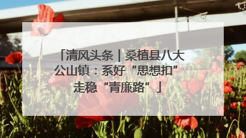 清风头条｜桑植县八大公山镇：系好“思想扣” 走稳“青廉路”