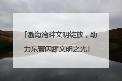 渤海湾畔文明绽放，助力东营闪耀文明之光