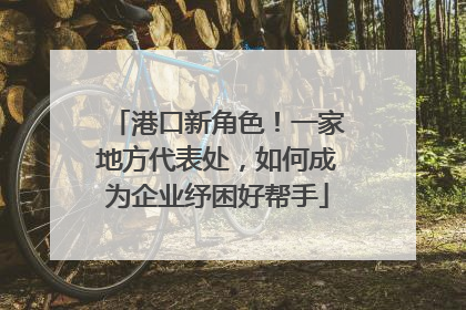 港口新角色！一家地方代表处，如何成为企业纾困好帮手