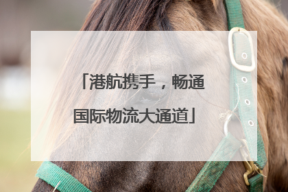 港航携手，畅通国际物流大通道