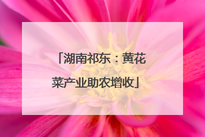 湖南祁东：黄花菜产业助农增收