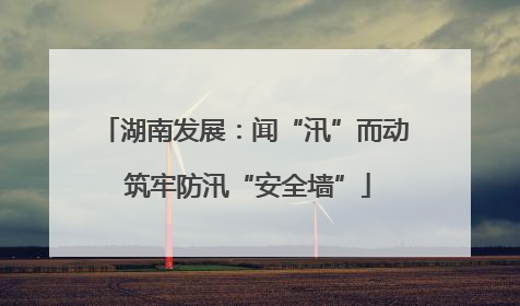 湖南发展：闻“汛”而动 筑牢防汛“安全墙”