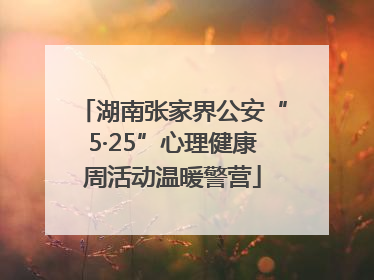 湖南张家界公安“5·25”心理健康周活动温暖警营