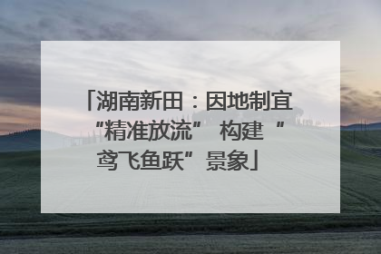 湖南新田：因地制宜“精准放流” 构建“鸢飞鱼跃”景象