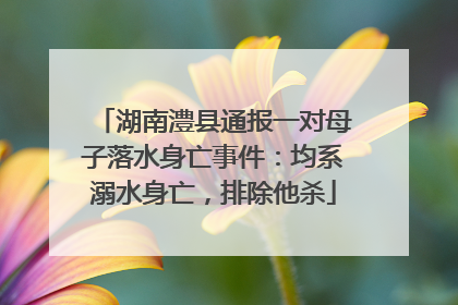 湖南澧县通报一对母子落水身亡事件：均系溺水身亡，排除他杀