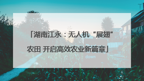 湖南江永：无人机“展翅”农田 开启高效农业新篇章