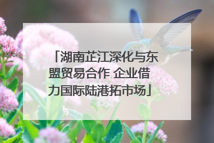 湖南芷江深化与东盟贸易合作 企业借力国际陆港拓市场