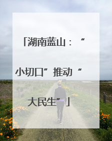 湖南蓝山：“小切口”推动“大民生”