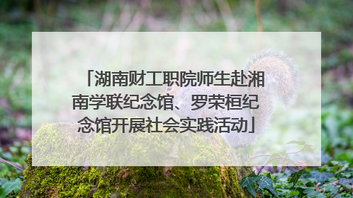 湖南财工职院师生赴湘南学联纪念馆、罗荣桓纪念馆开展社会实践活动