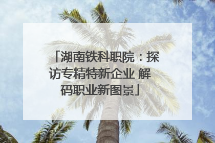 湖南铁科职院：探访专精特新企业 解码职业新图景