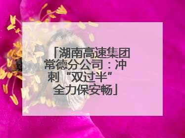 湖南高速集团常德分公司：冲刺“双过半” 全力保安畅