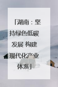 湖南：坚持绿色低碳发展 构建现代化产业体系