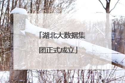 湖北大数据集团正式成立
