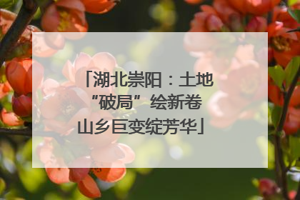 湖北崇阳：土地“破局”绘新卷 山乡巨变绽芳华