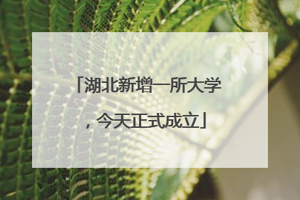 湖北新增一所大学，今天正式成立