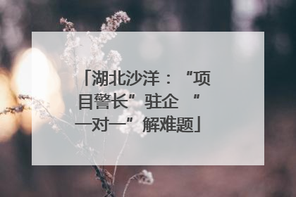 湖北沙洋：“项目警长”驻企 “一对一”解难题