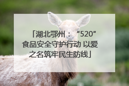 湖北鄂州：“520”食品安全守护行动 以爱之名筑牢民生防线
