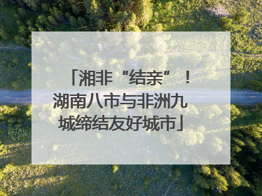 湘非“结亲”！湖南八市与非洲九城缔结友好城市