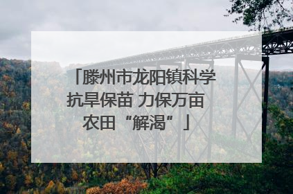 滕州市龙阳镇科学抗旱保苗 力保万亩农田“解渴”