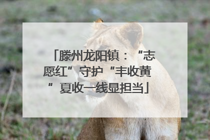 滕州龙阳镇：“志愿红”守护“丰收黄”夏收一线显担当