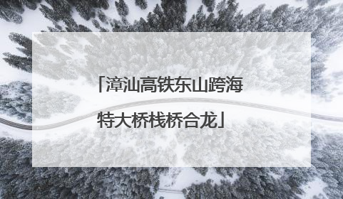 漳汕高铁东山跨海特大桥栈桥合龙