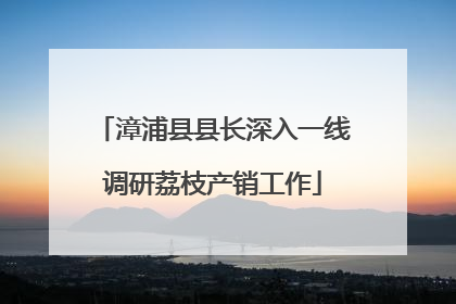 漳浦县县长深入一线调研荔枝产销工作