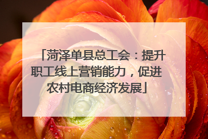 菏泽单县总工会：提升职工线上营销能力，促进农村电商经济发展
