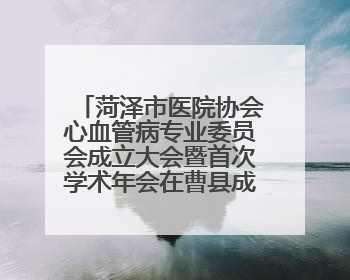 菏泽市医院协会心血管病专业委员会成立大会暨首次学术年会在曹县成功举行